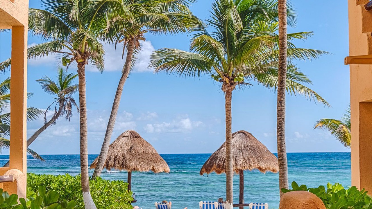 Photo of Others in Akumal