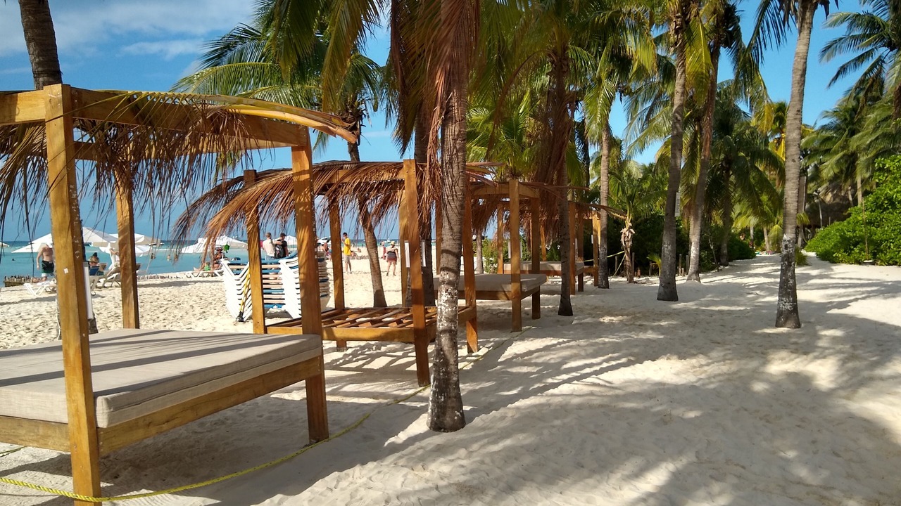 Photo of Others in Centro - Supmza 001