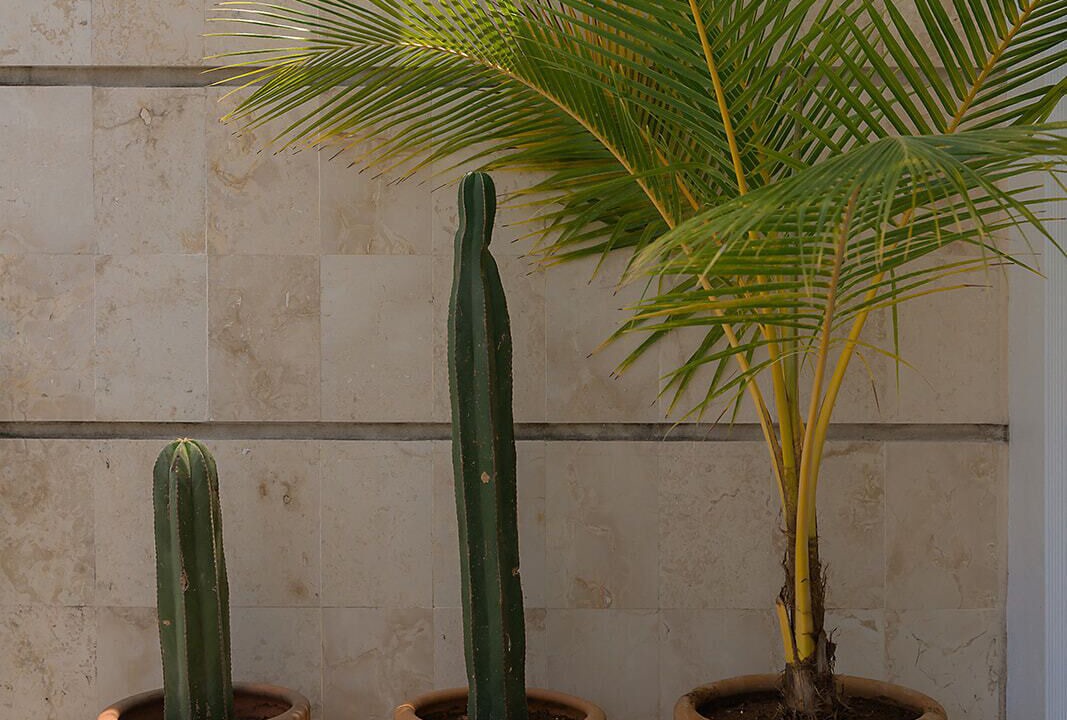 Photo of Outdoor in Zona Hotelera Norte