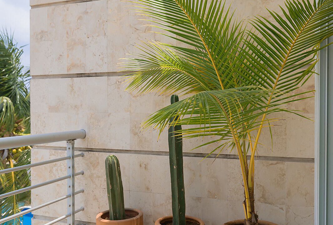Photo of Outdoor in Zona Hotelera Norte