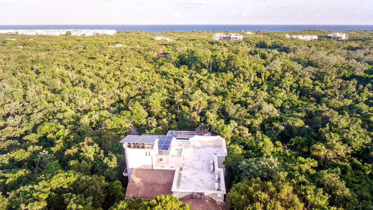 Photo of Outdoor in Akumal