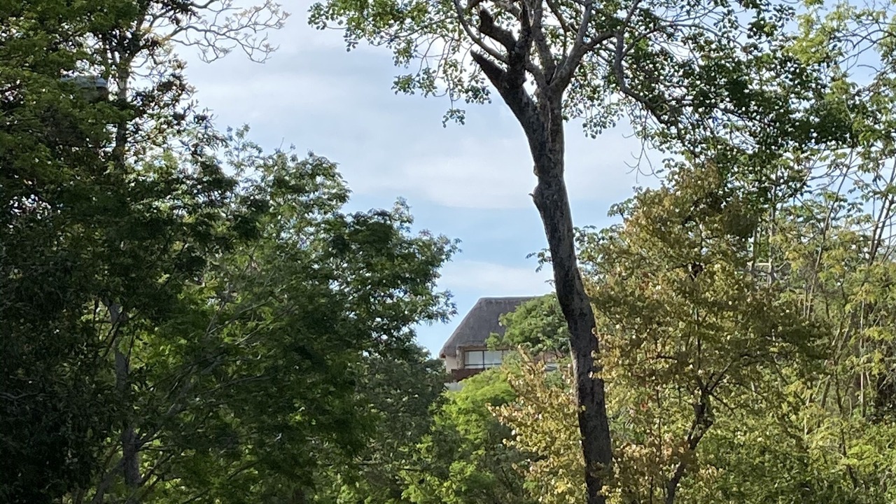 Photo of Outdoor in Chemuyil