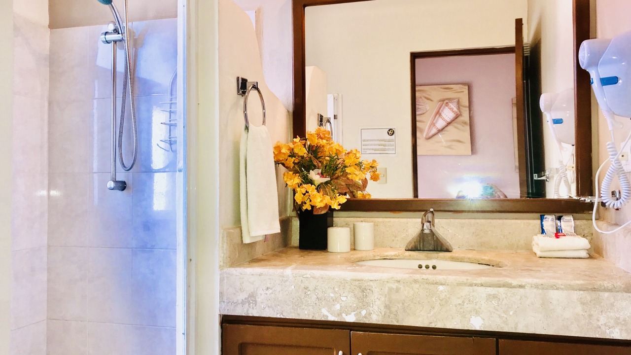 Photo of Bathroom in Ejidal