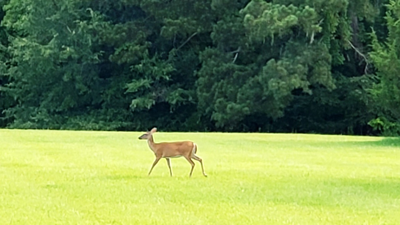 Photo of Others in Grovetown