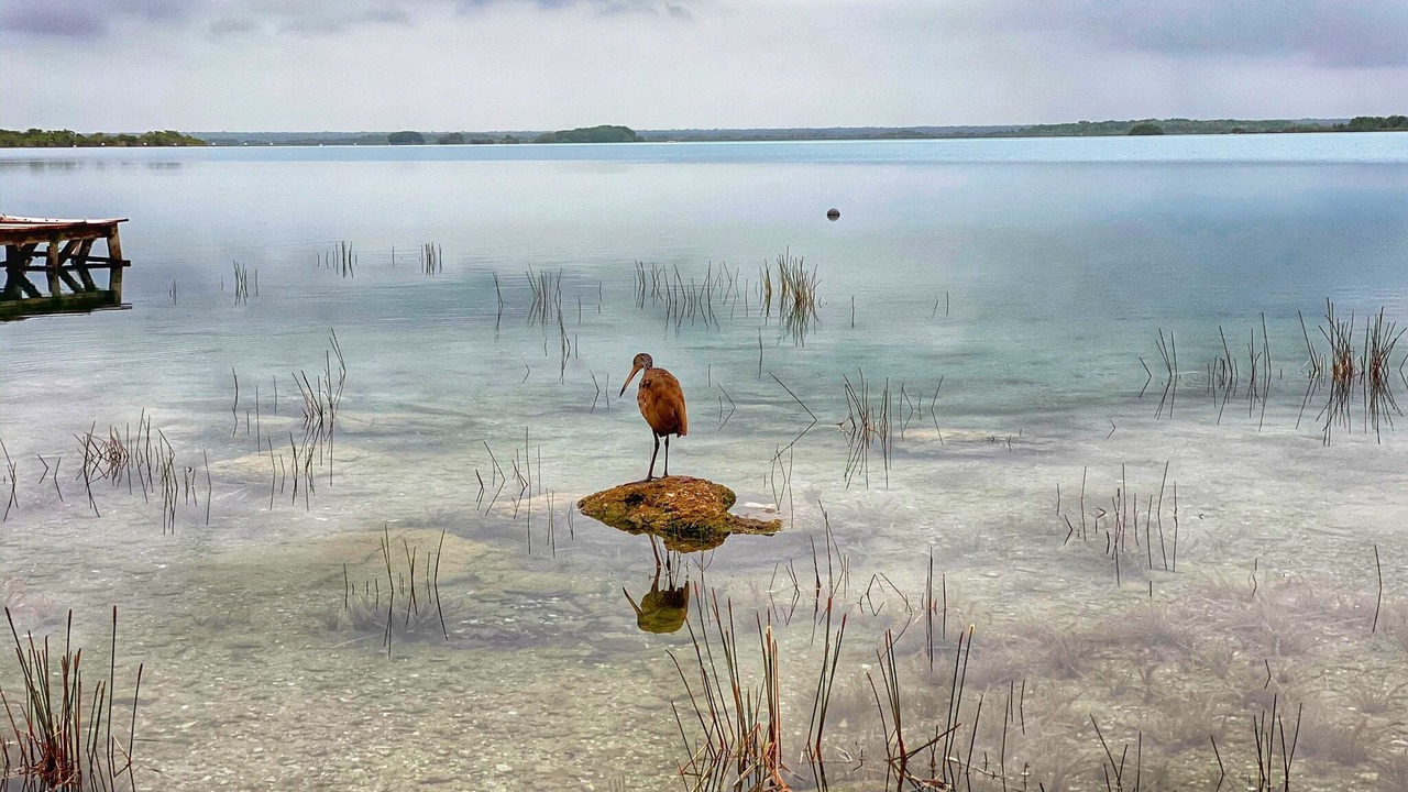 Photo of Others in Bacalar