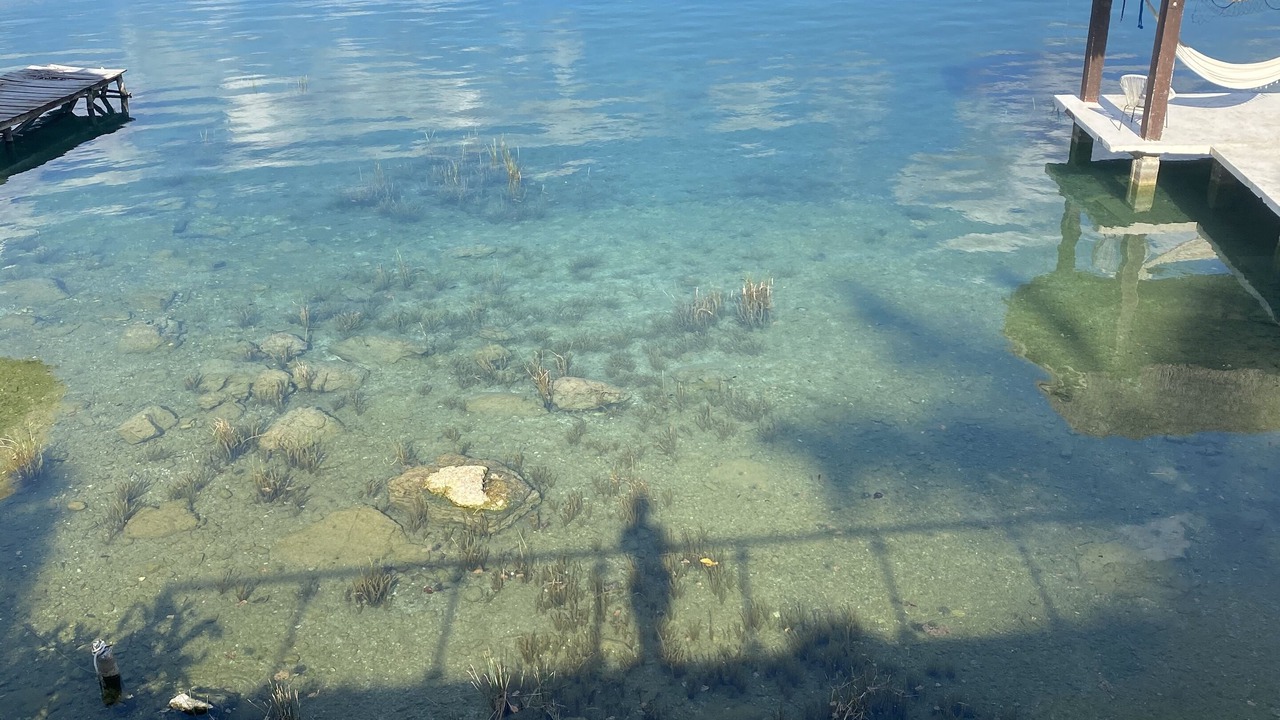 Photo of Others in Bacalar