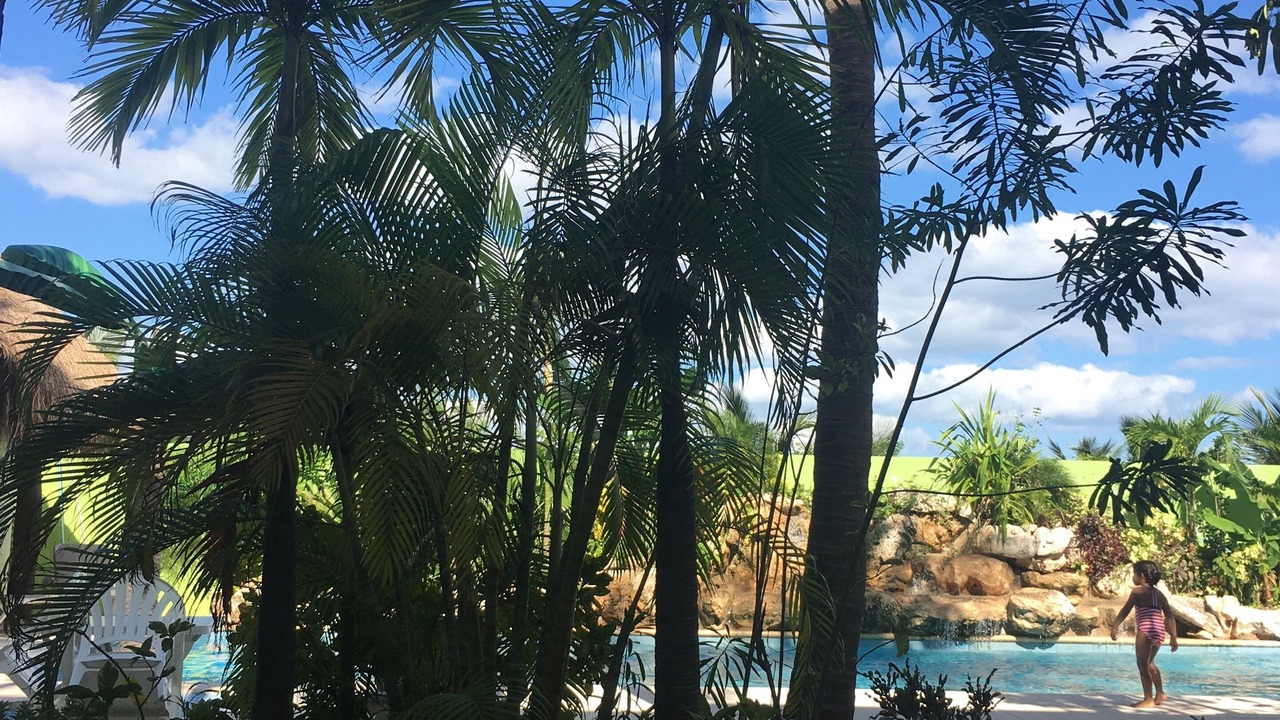 Photo of Outdoor in Luis Donaldo Colosio