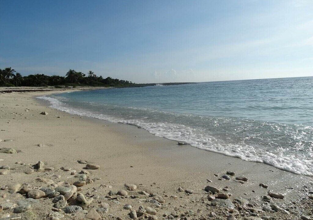 Photo of Others in Akumal