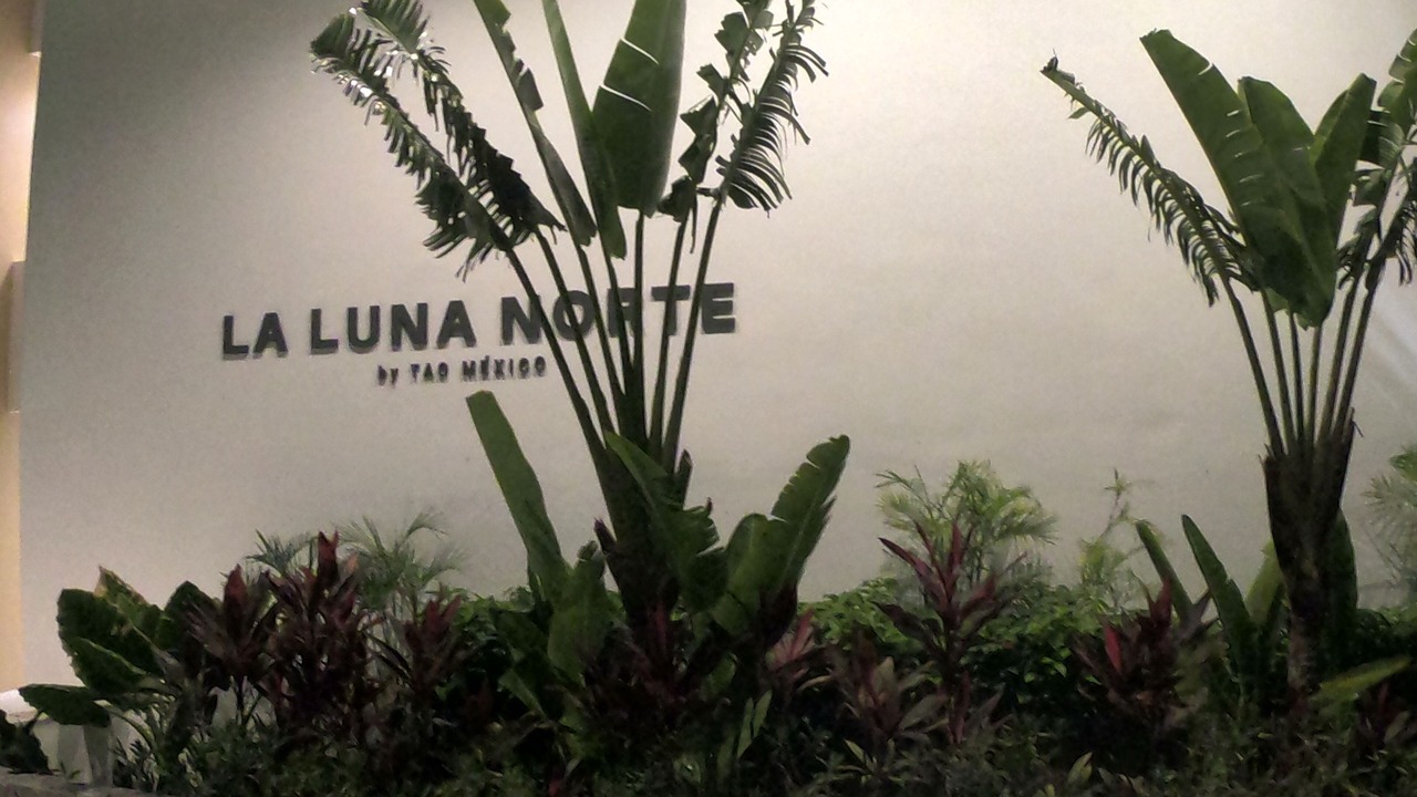 Photo of Others in Akumal