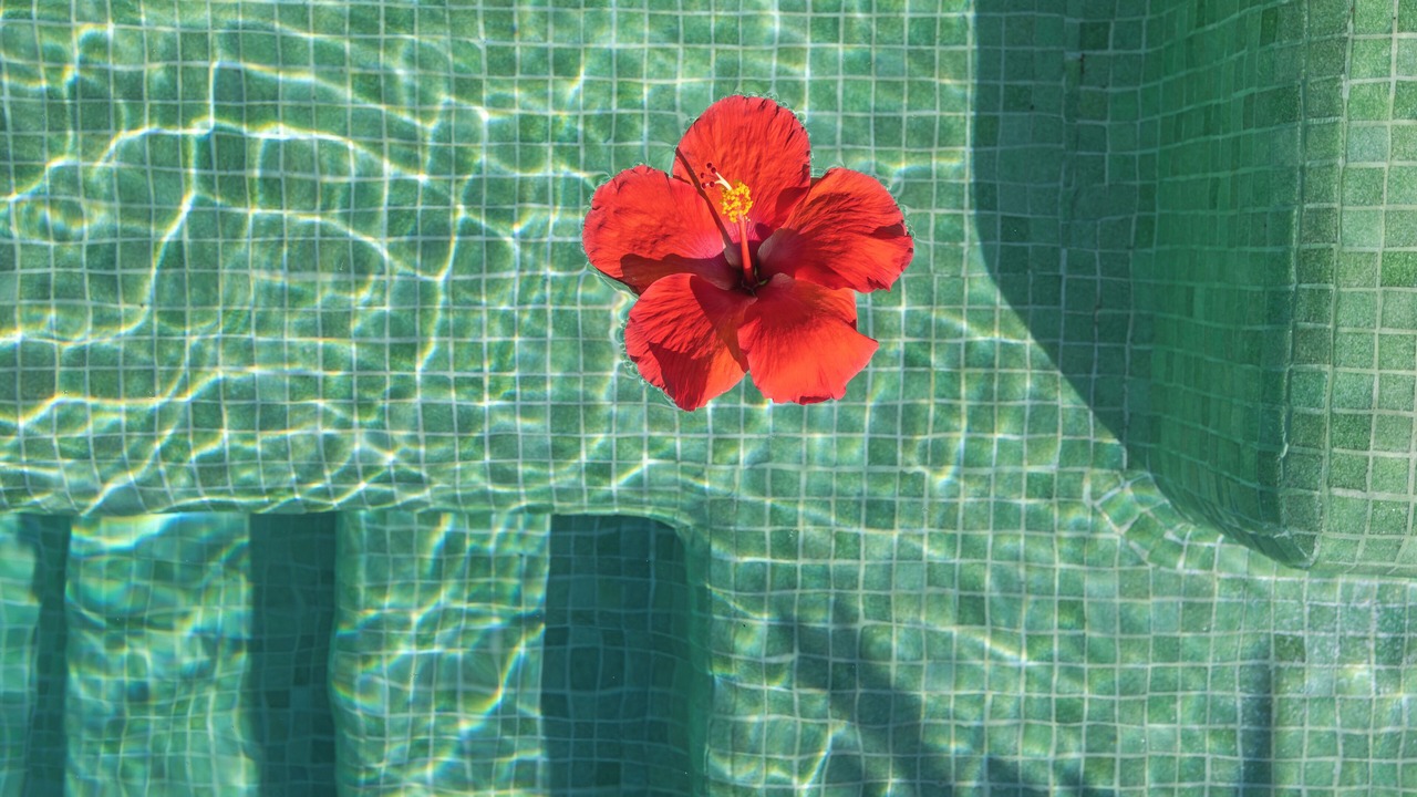 Photo of Others in Punta de Mita