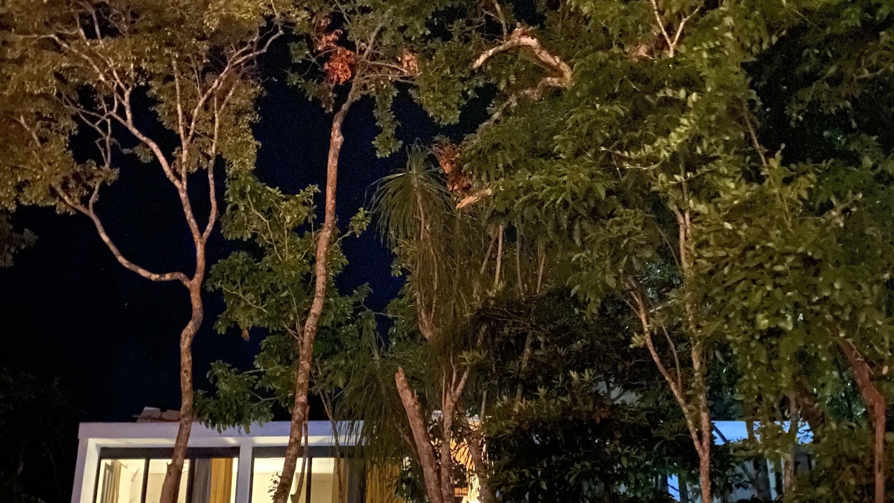 Photo of Outdoor in Soliman Bay