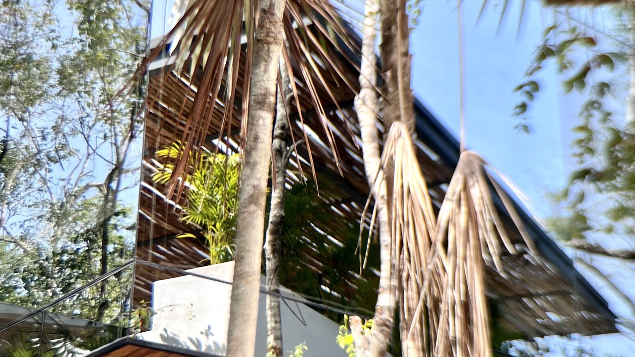 Photo of Others in Tulum City Center