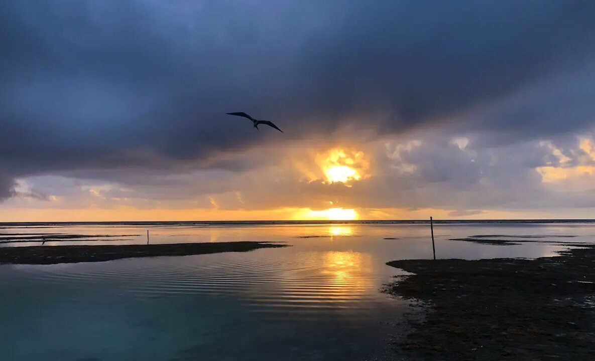 Photo of Others in Mahahual