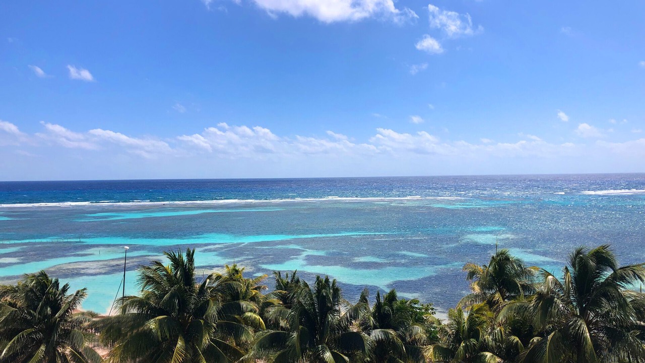 Photo of Others in Mahahual