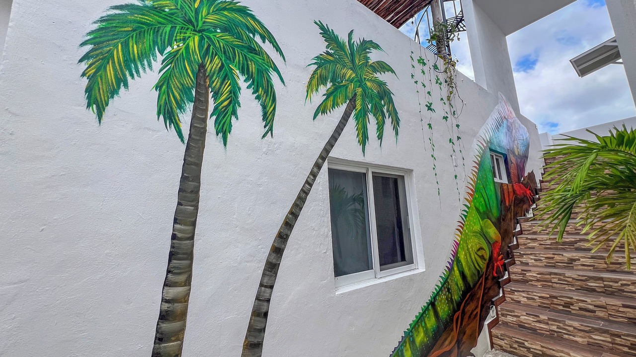Photo of Outdoor in Colonia Centro