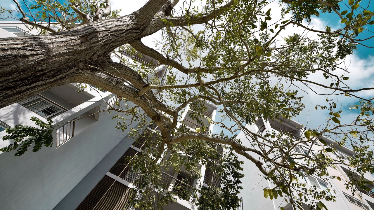 Photo of Outdoor in Colonia Centro
