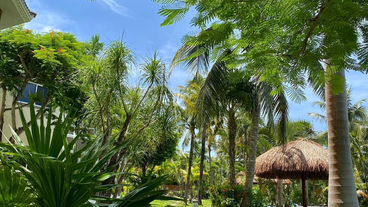 Photo of Outdoor in Playa del Secreto
