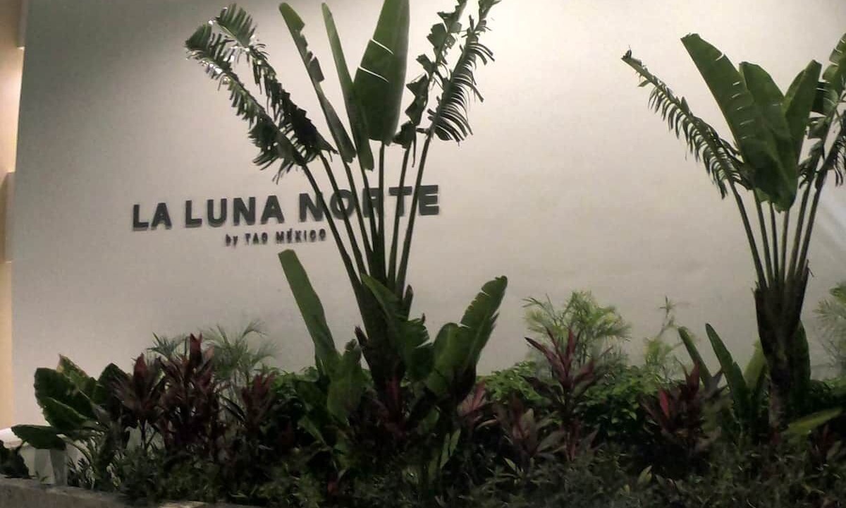 Photo of Outdoor in Akumal