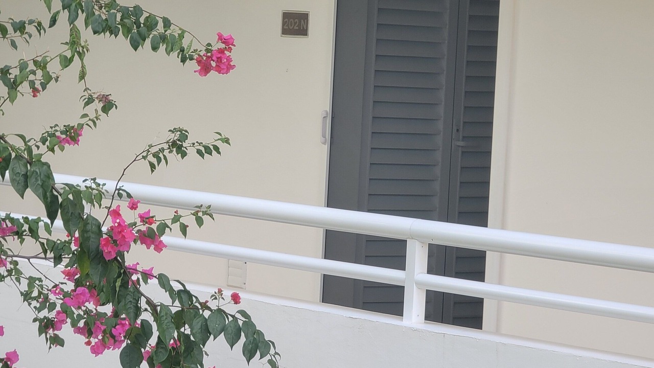 Photo of Outdoor in Akumal