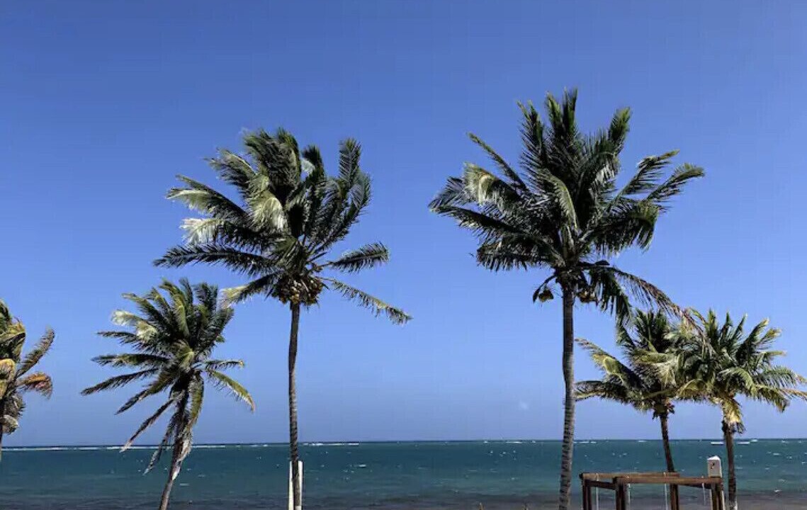 Photo of Outdoor in Puerto Morelos