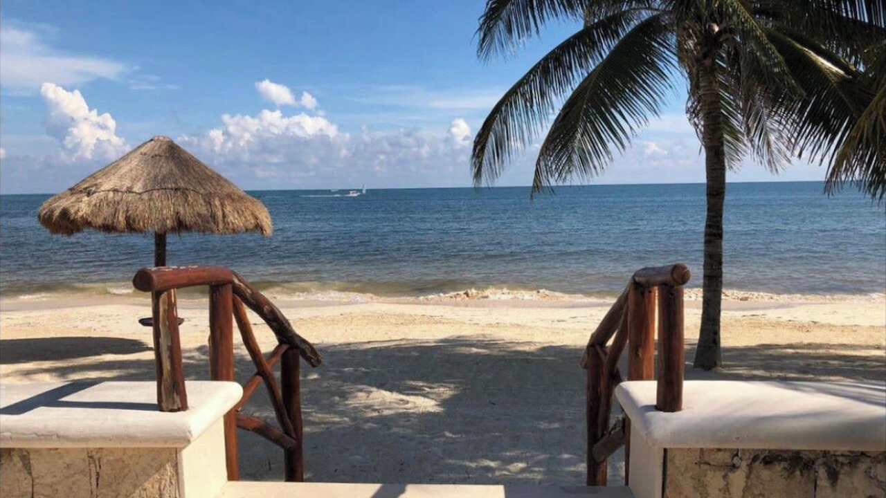 Photo of Others in Puerto Morelos