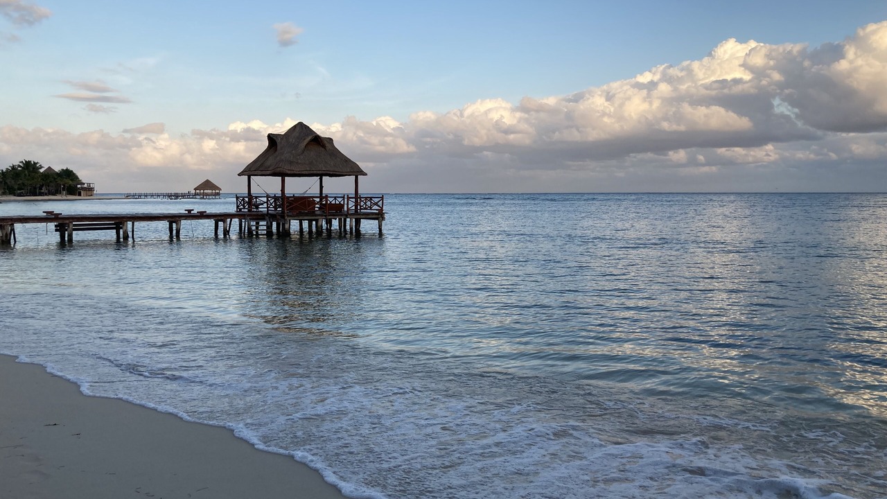 Photo of Others in Puerto Morelos