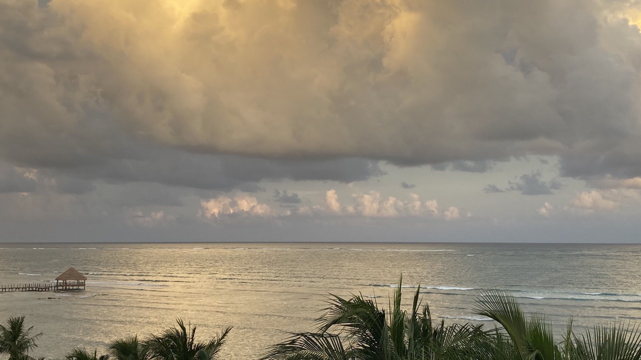 Photo of Others in Puerto Morelos