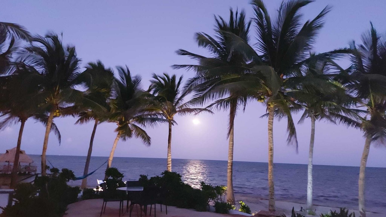 Photo of Outdoor in Puerto Morelos