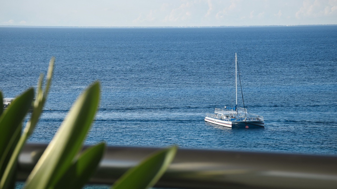 Photo of Others in Cozumel