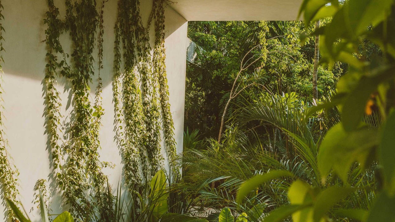Photo of Outdoor in Zama