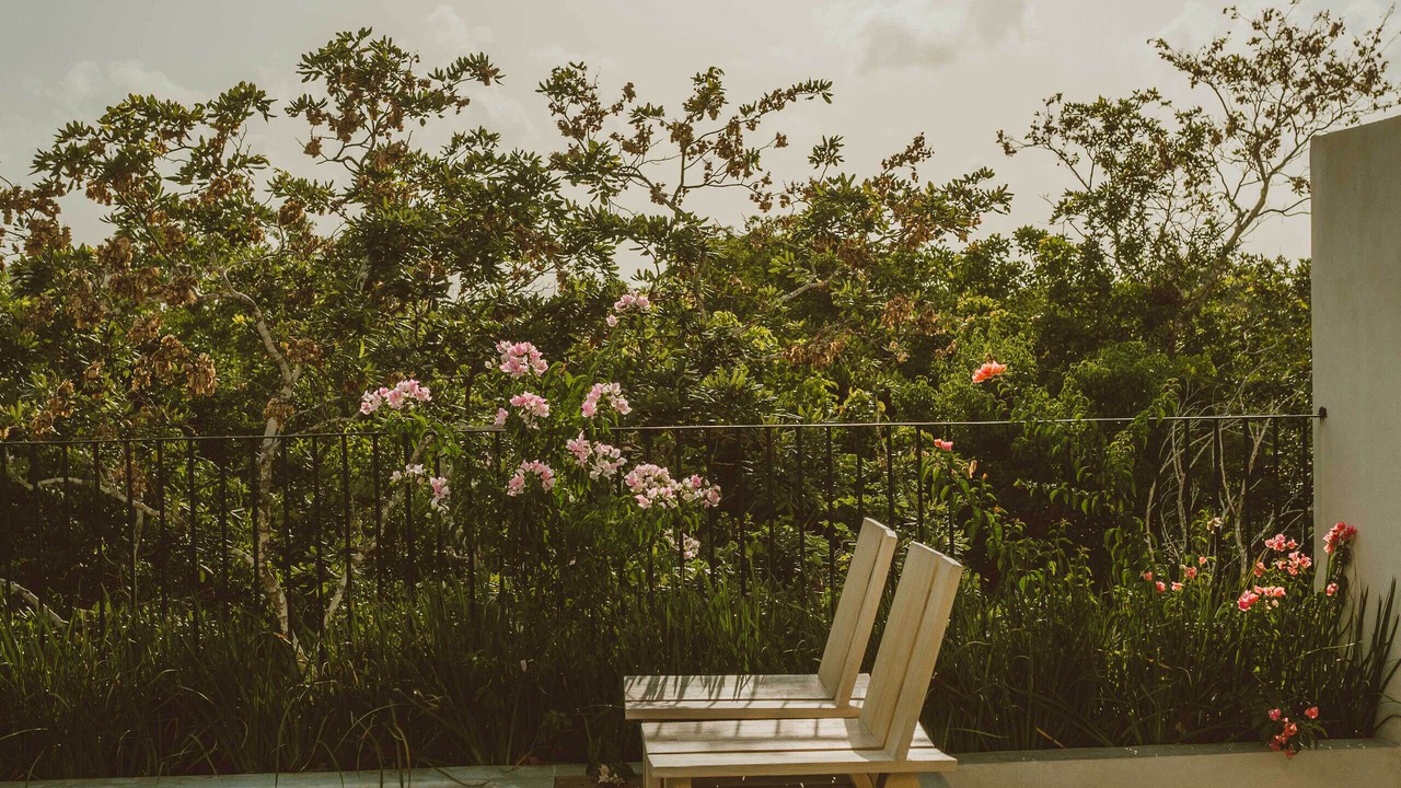 Photo of Outdoor in Zama