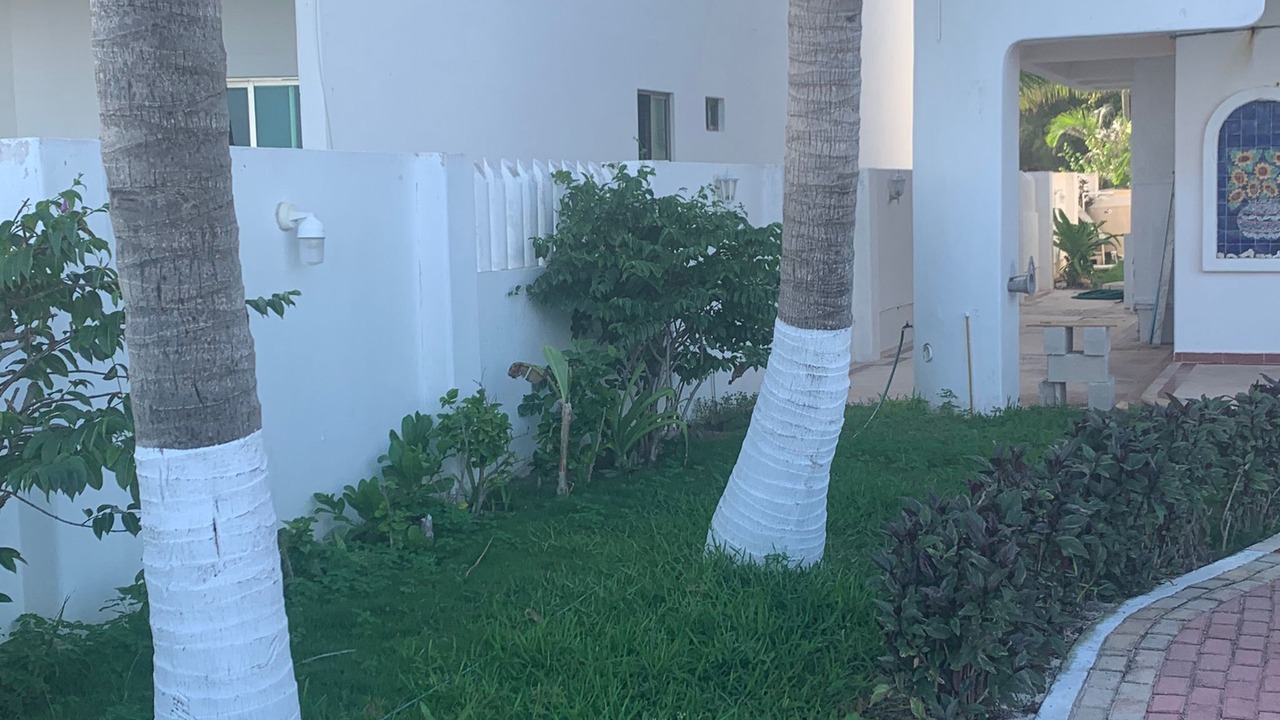 Photo of Outdoor in Puerto Morelos