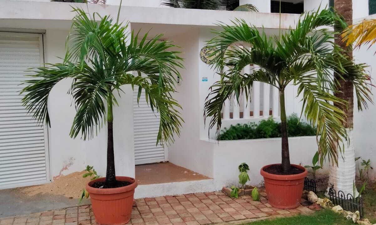 Photo of Outdoor in Puerto Morelos
