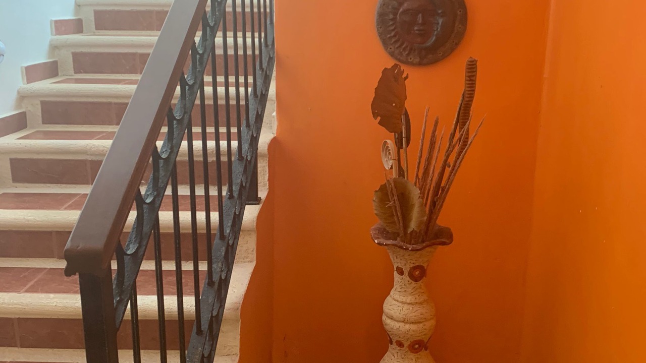 Photo of Others in Puerto Morelos