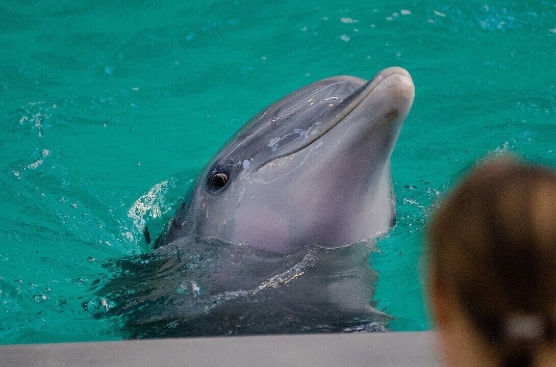 Photo of Outdoor in Puerto Aventuras