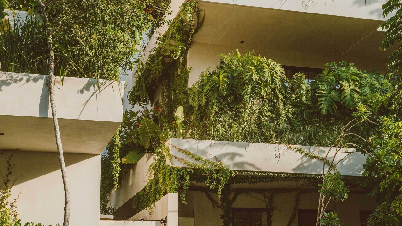 Photo of Outdoor in Zama