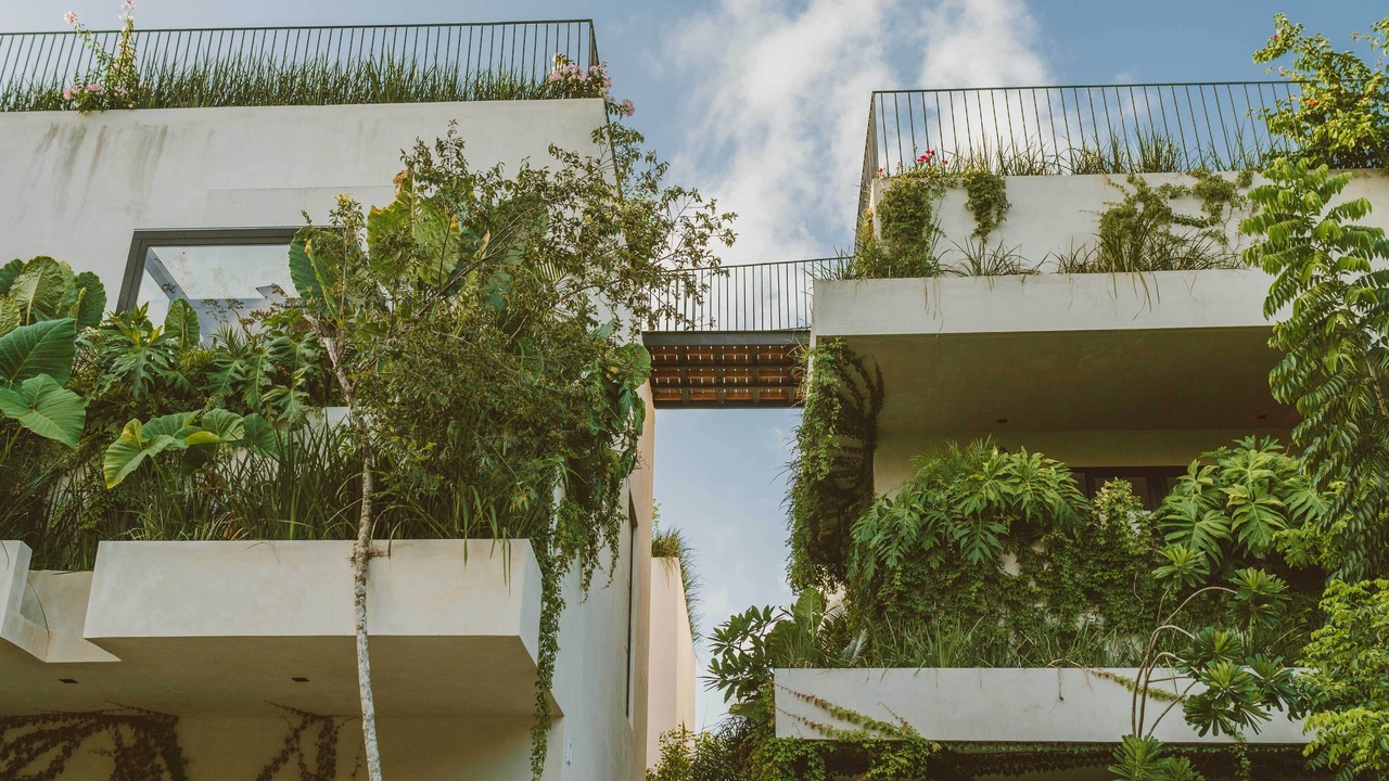 Photo of Outdoor in Zama