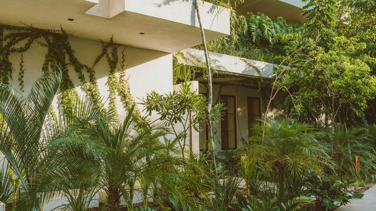 Photo of Outdoor in Zama