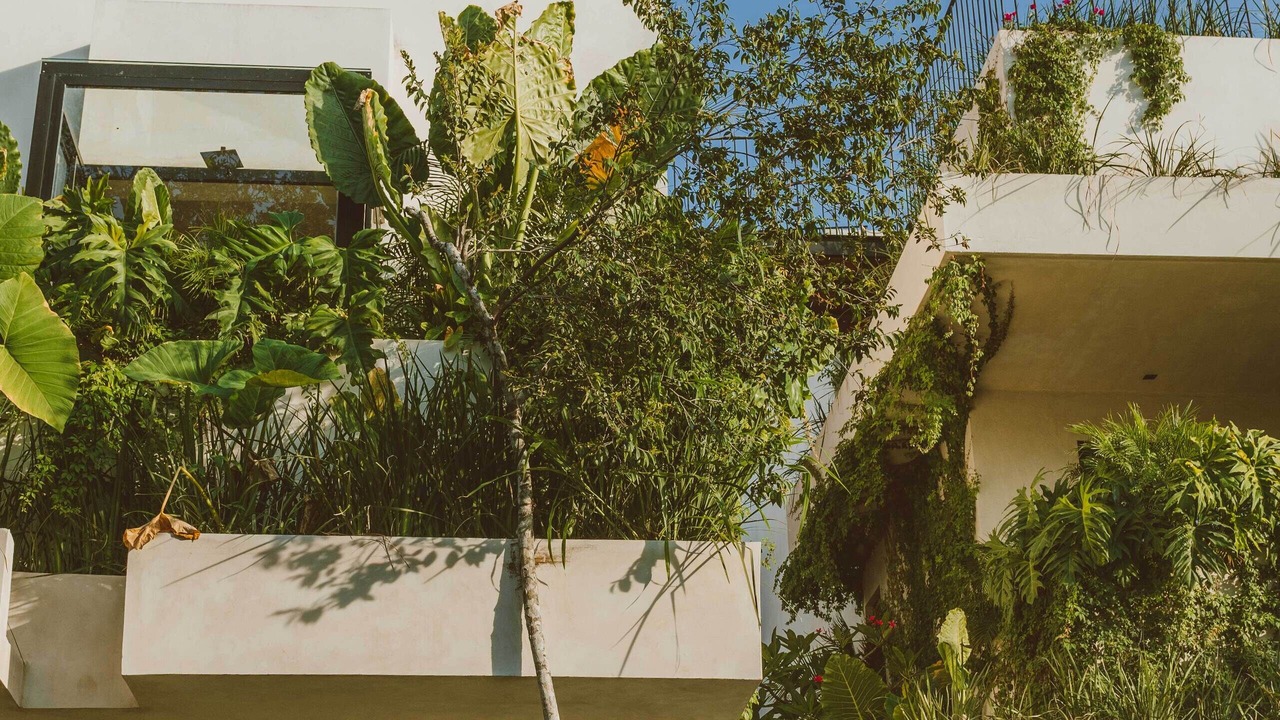 Photo of Outdoor in Zama