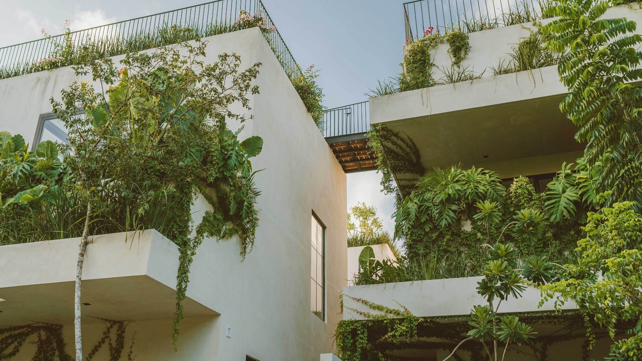 Photo of Outdoor in Zama