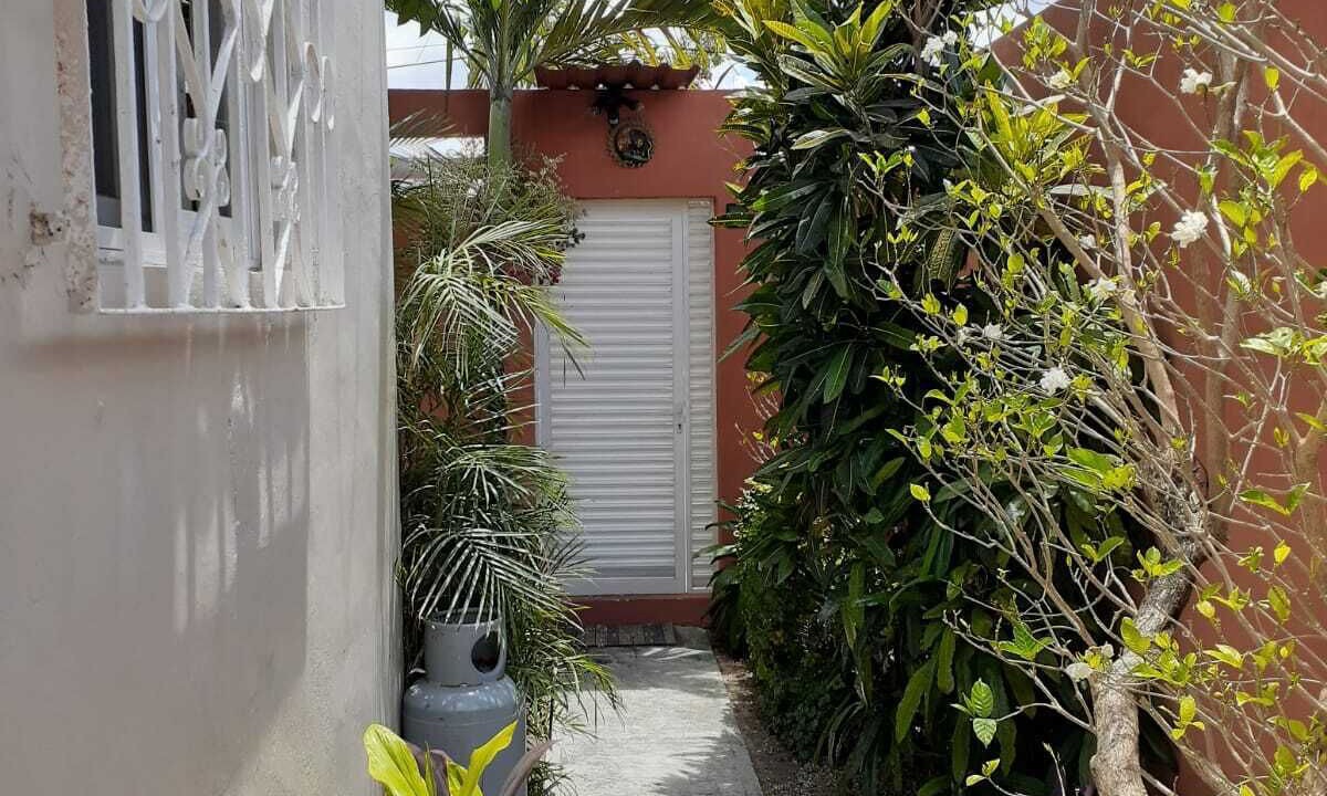 Photo of Others in Colonia Andres
