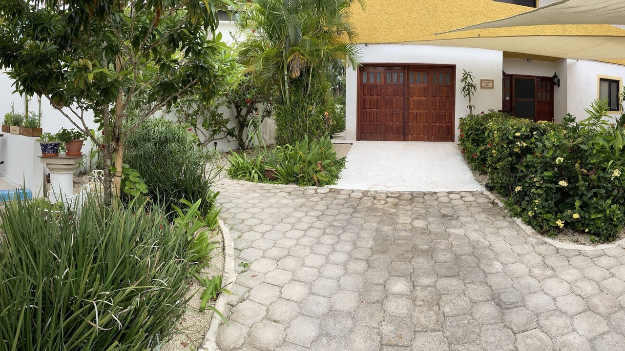Photo of Outdoor in Cozumel