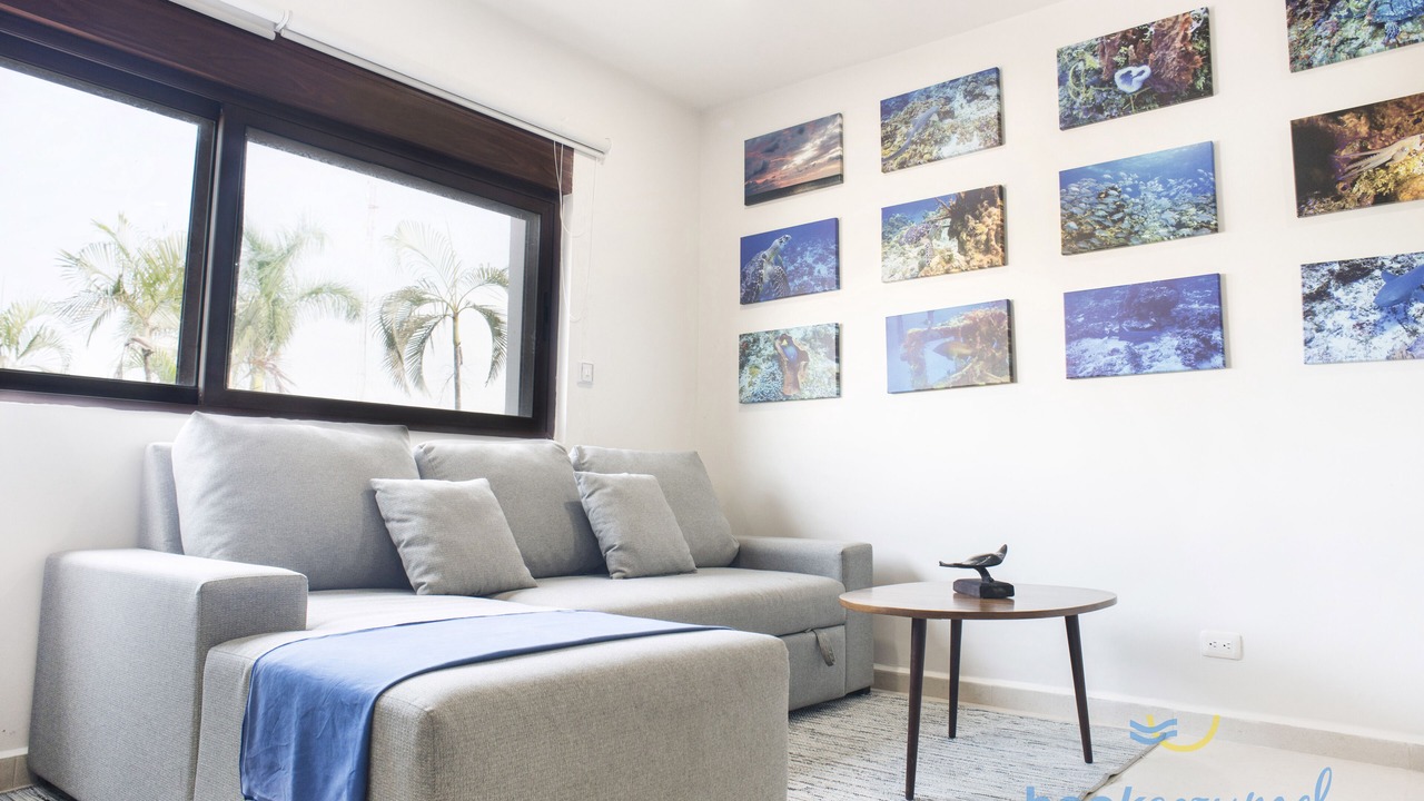 Photo of Livingroom in Colonia Centro