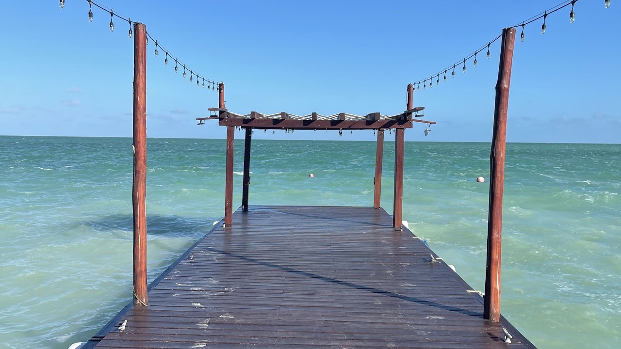 Photo of Others in Chetumal