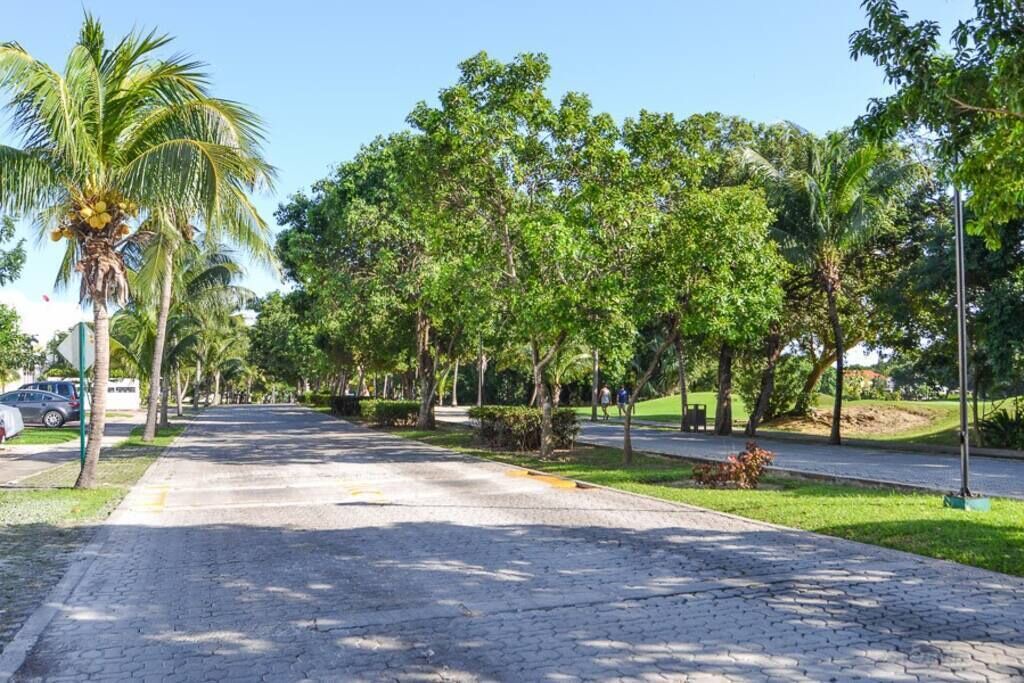 Photo of Outdoor in Playacar