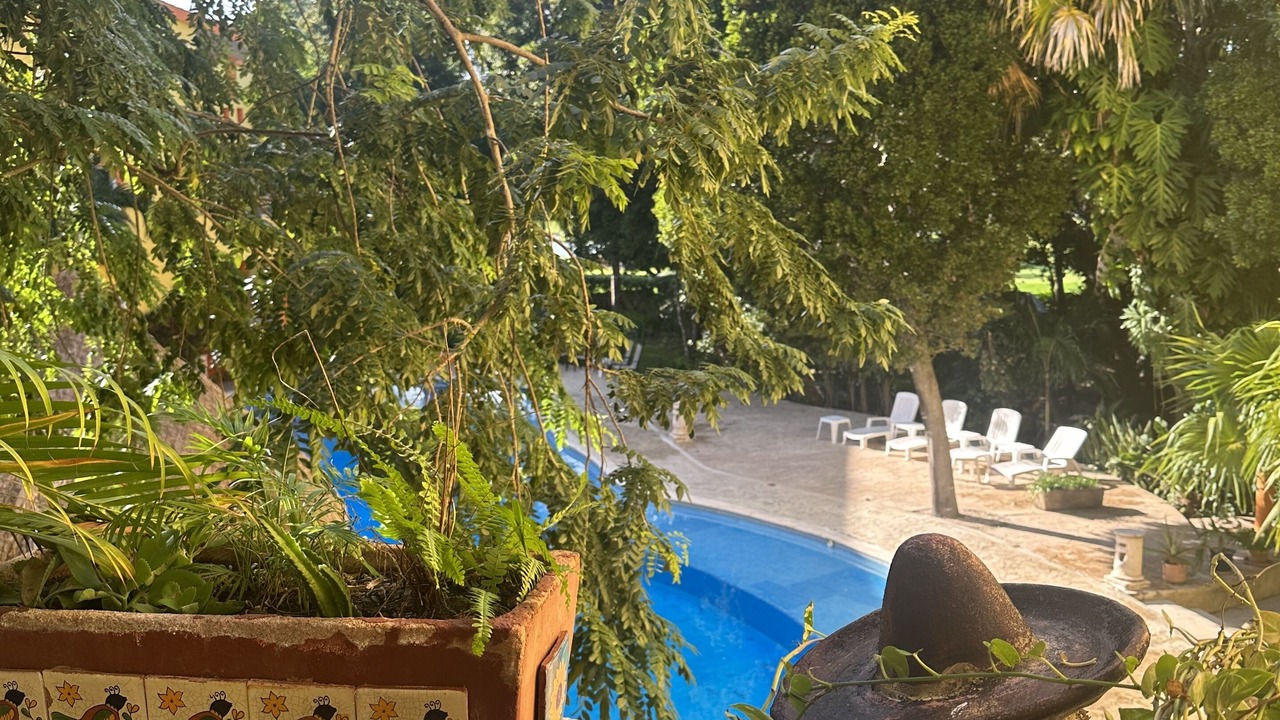 Photo of Outdoor in Playacar Beach