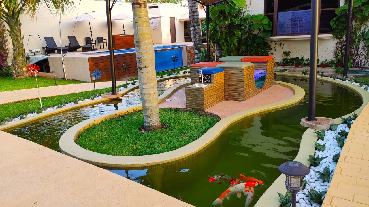 Photo of Outdoor in Alfredo V. Bonfil