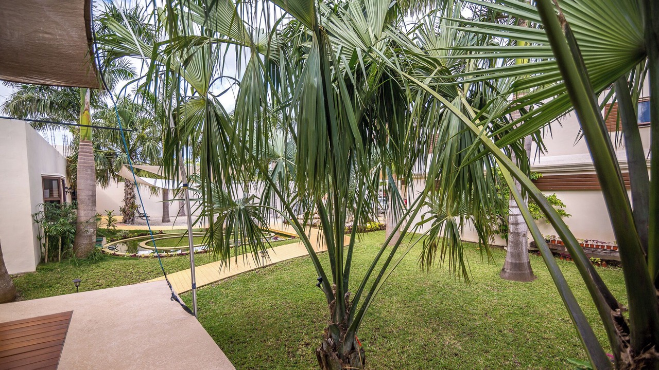 Photo of Outdoor in Alfredo V. Bonfil