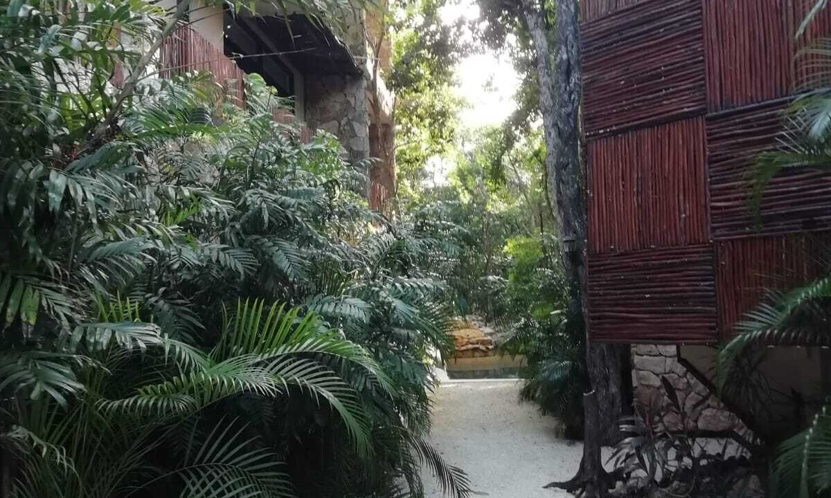 Photo of Outdoor in Chemuyil