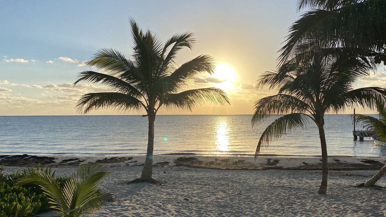 Photo of Others in Puerto Morelos